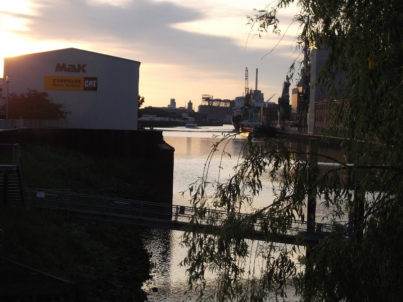 erste Bilder 111